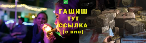 стаф Майский