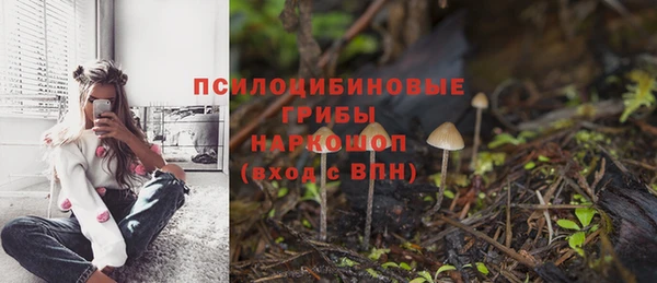 а пвп мука Магас