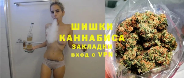 стаф Майский